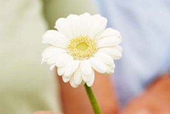 Lister LebensArt - Servicewohnen